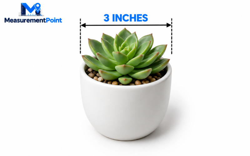 How Long Is 3 Inches