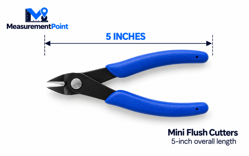 How Long Is 5 Inches
