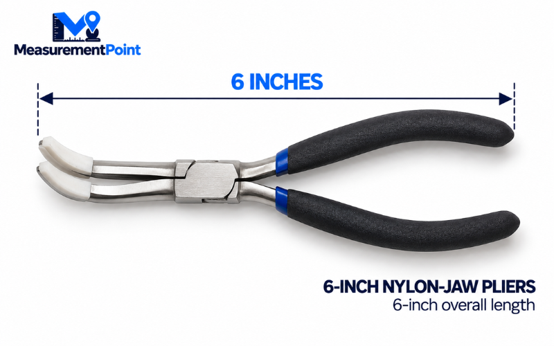 How Long Is 6 Inches