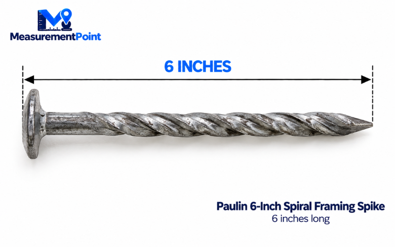 How Long Is 6 Inches