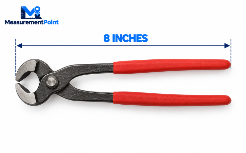 How Long Is 8 Inches