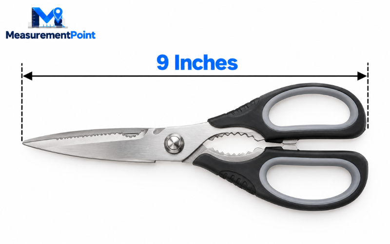 How Long Is 9 Inches