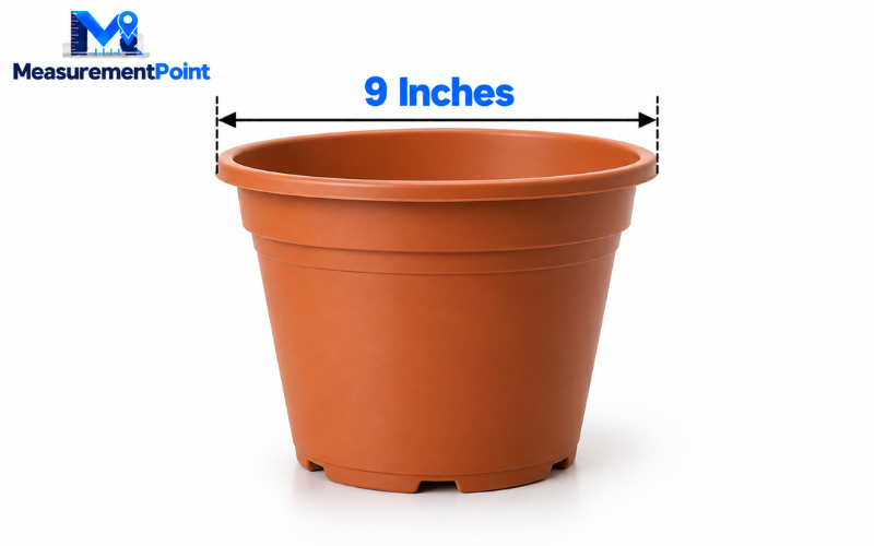 How Long Is 9 Inches