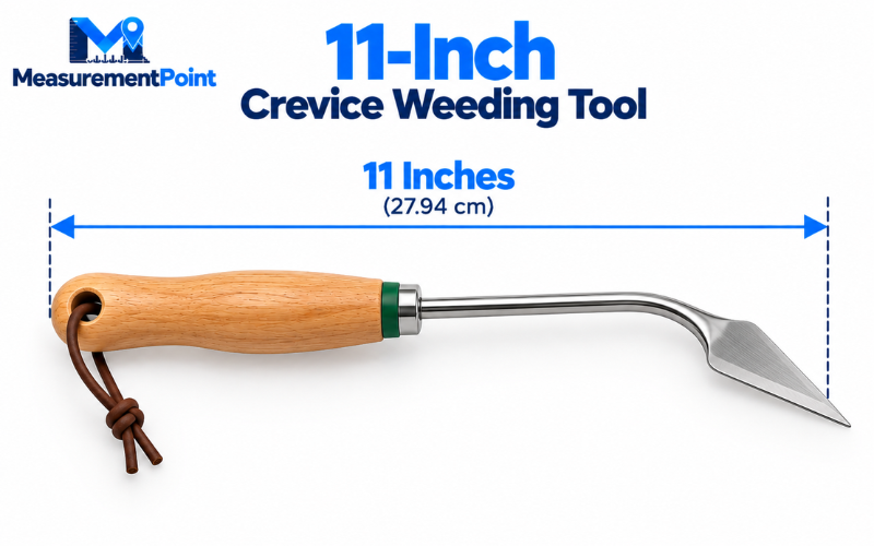 How Long is 11 Inches