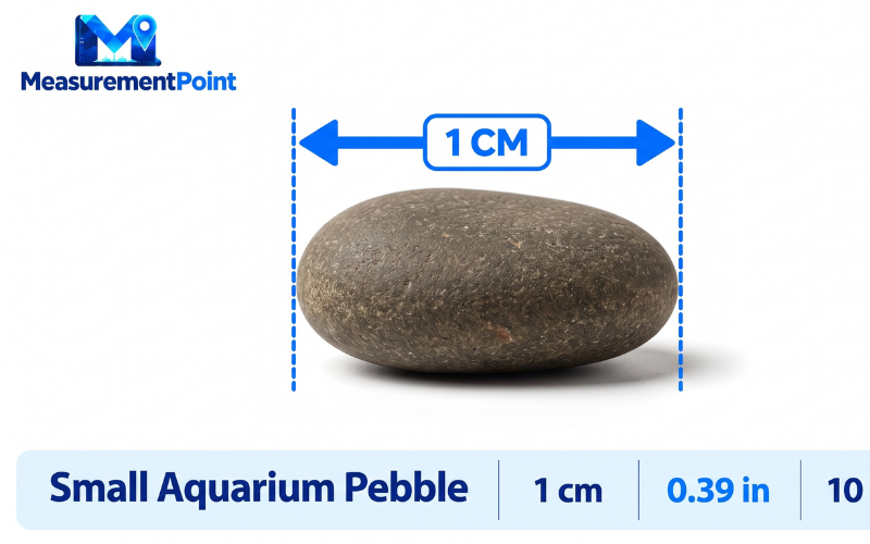 How Big Is 1 cm