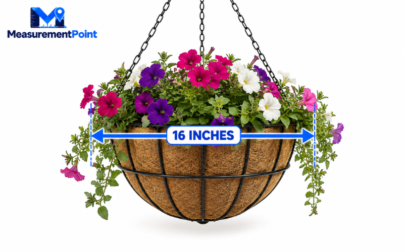 How Long Is 16 Inches