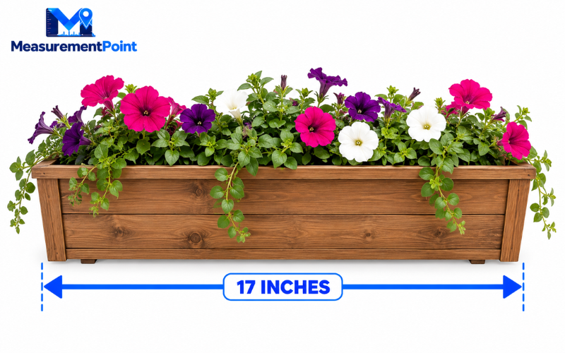 How Long Is 17 Inches