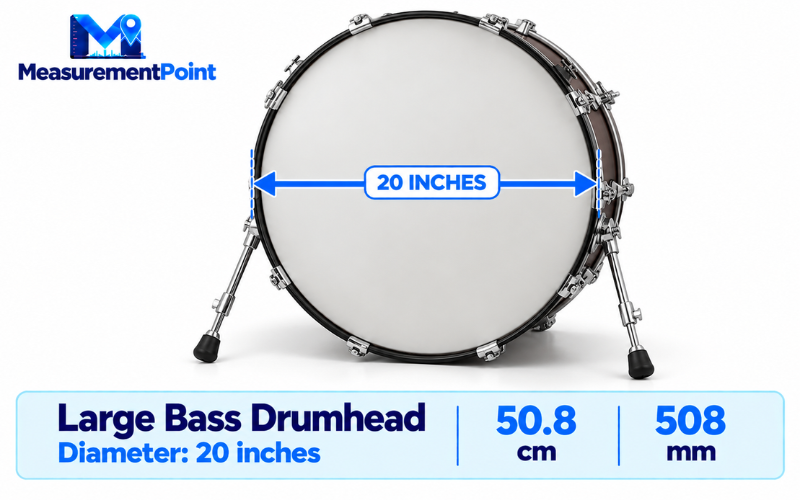 How Long Is 20 Inches