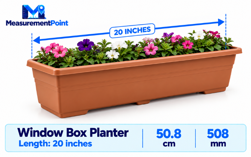 How Long Is 20 Inches