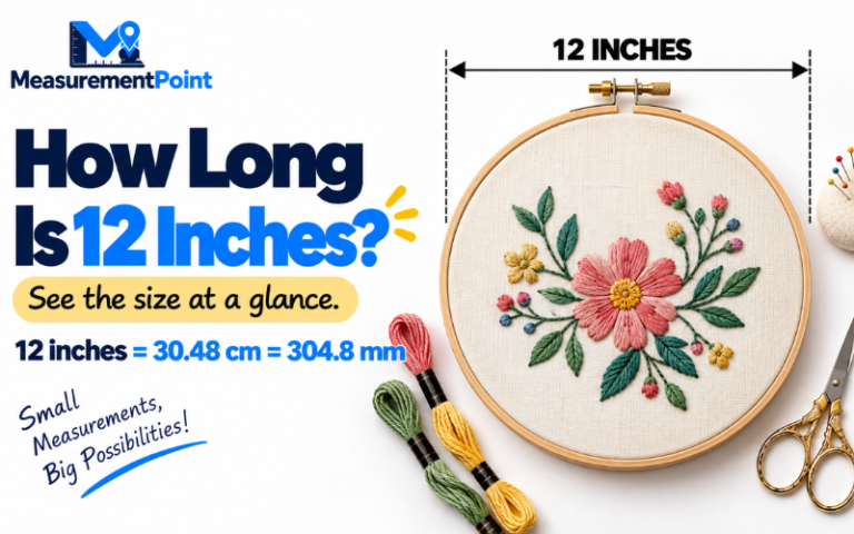 How Long Is 12 Inches