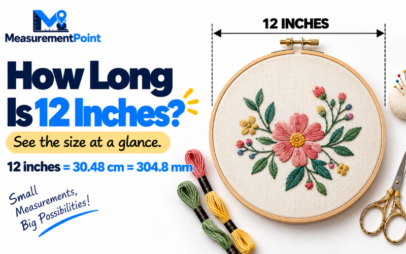 How Long Is 12 Inches