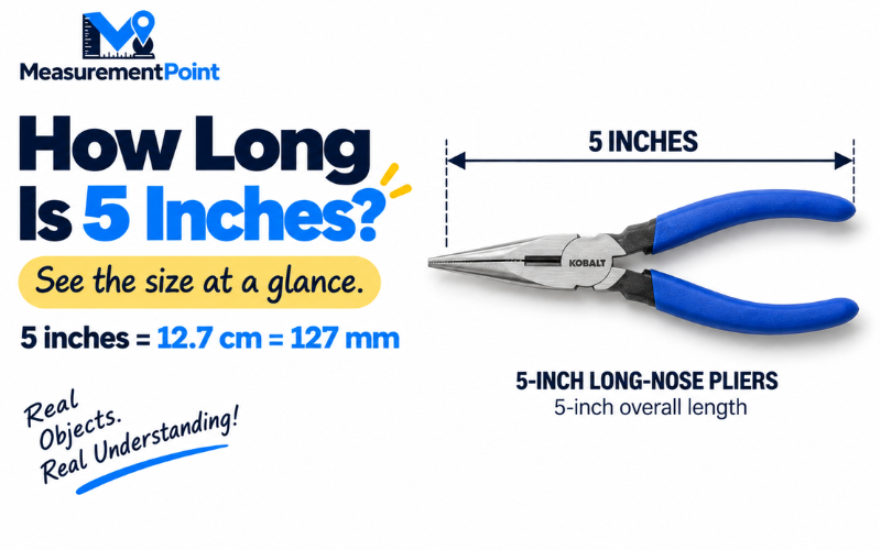 How Long Is 5 Inches