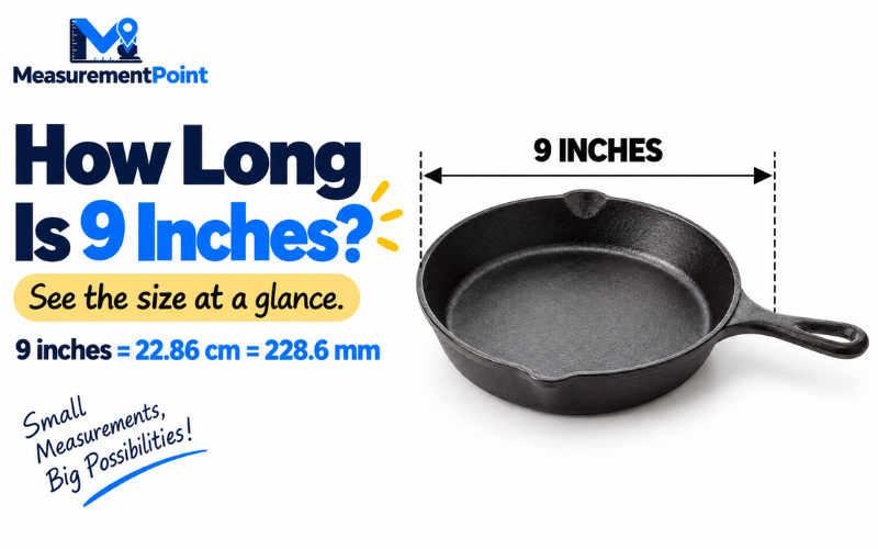 How Long Is 9 Inches